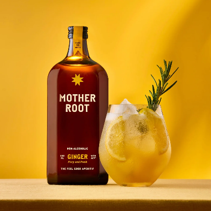 Mother Root Ginger Switchel - Image 3